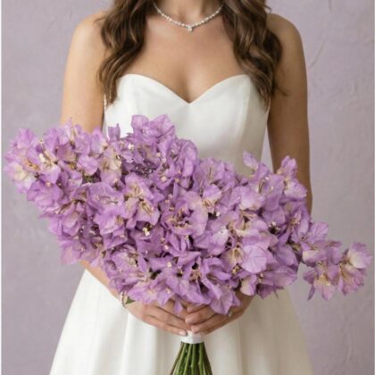 Lavender Bougainvillea